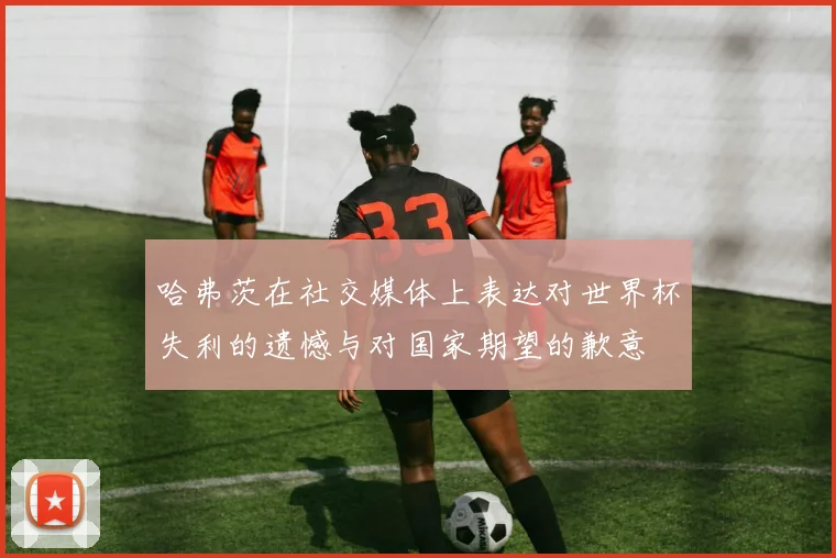 哈弗茨在社交媒体上表达对世界杯失利的遗憾与对国家期望的歉意