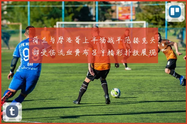 荷兰与摩洛哥上半场战平范赫克头部受伤流血费布吕亨精彩扑救展现实力