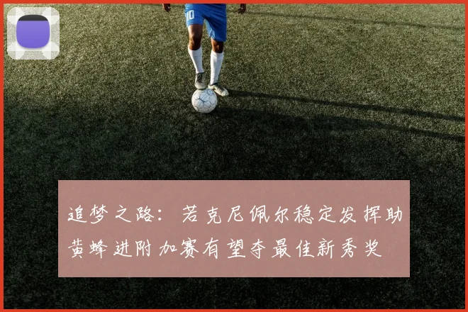 追梦之路：若克尼佩尔稳定发挥助黄蜂进附加赛有望夺最佳新秀奖